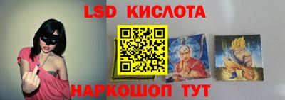 индика Пенза