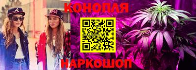ALPHA-PVP Партизанск