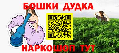 индика Пенза