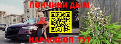 индика Пенза