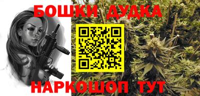 индика Пенза