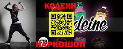 индика Пенза